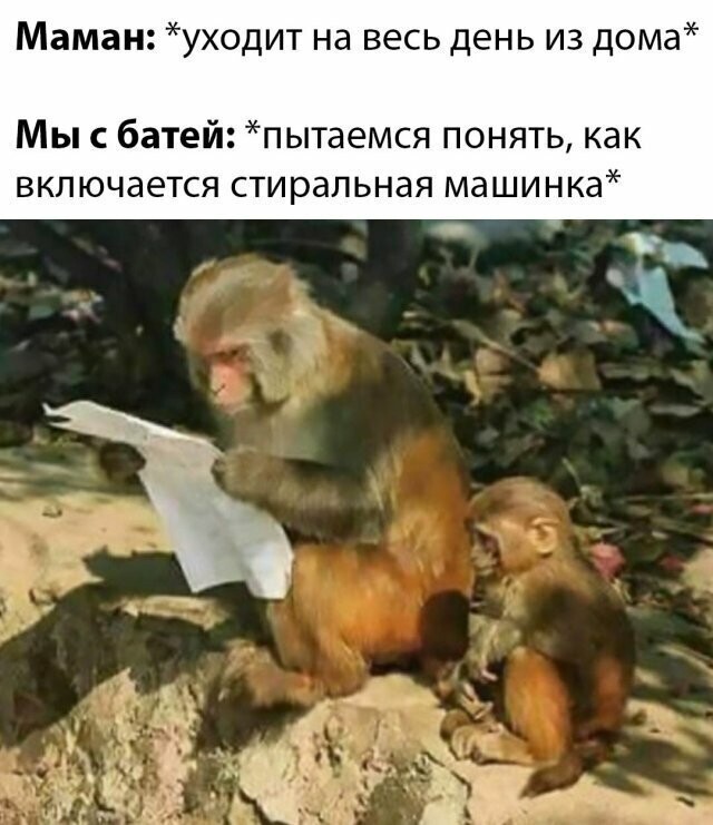 Картинки с надписями