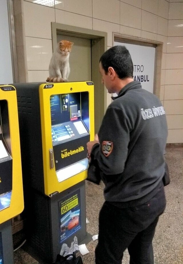 Жми на эту кнопку