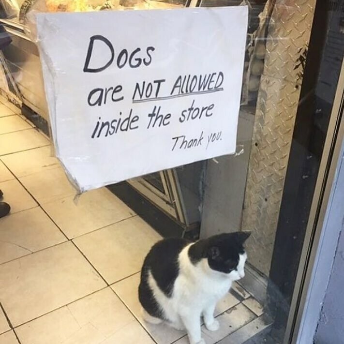 Бдительная охрана следит, чтобы в магазин не входили с собаками