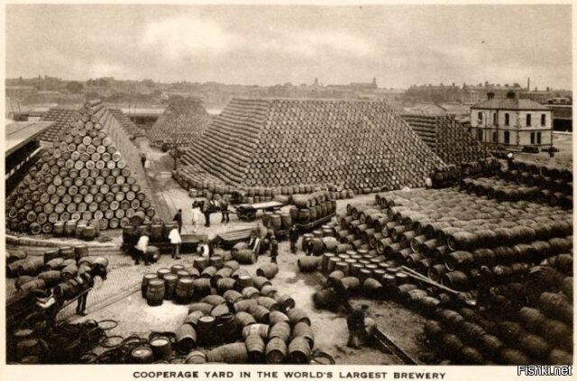 Бондарный двор пивоварни "Guiness", 1939 год, Дублин