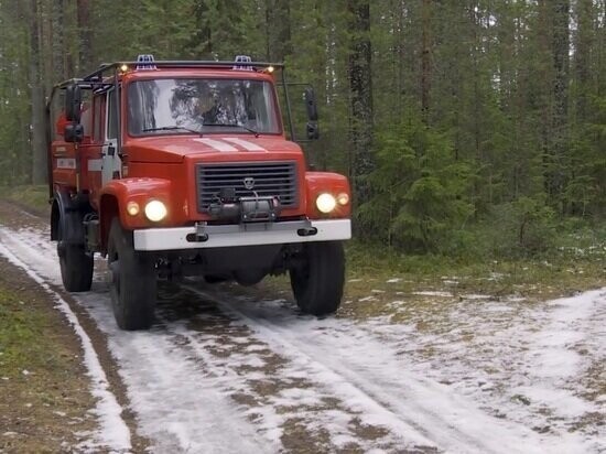 Первая партия лесопожарной техники поступила в лесхозы Вологодской области