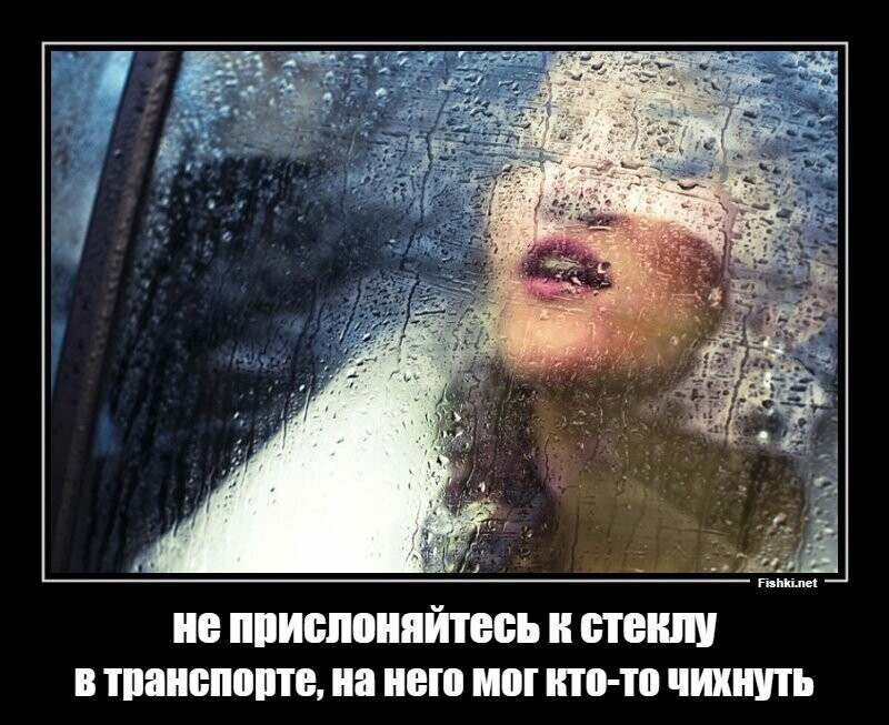 Открытое письмо в Мосгортранс и в Мос.ру