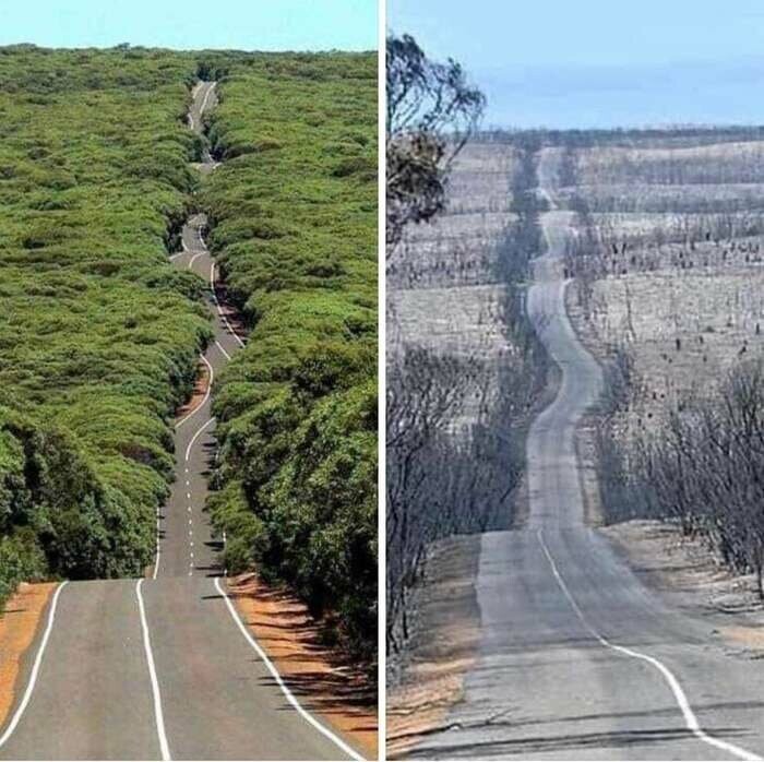 Северная Австралия. До и после пожаров