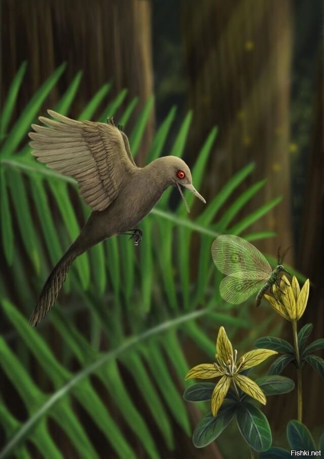 Мезозойский голубь: в Мьянме обнаружили следы самого маленького динозавра и с...
