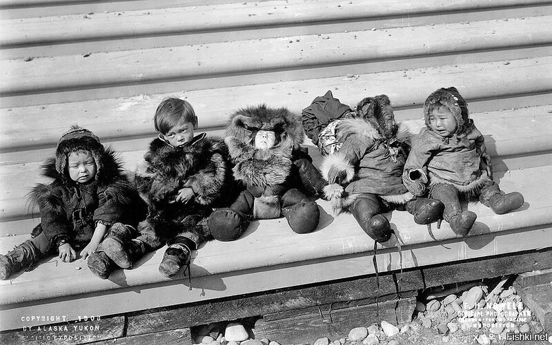 Дети-эскимо, 1908