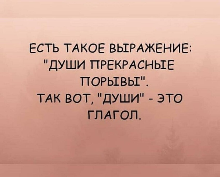 Есть такое выражение. Души прекрасные порывы глагол. Души прекрасные порывы души это глагол. Души прекрасные порывы юмор. Души прекрасные порывы стихи.