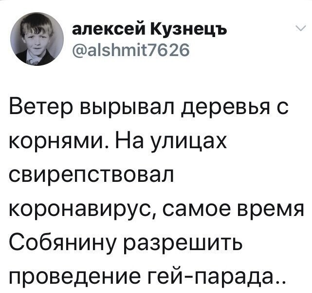 Политические комментарии из инета