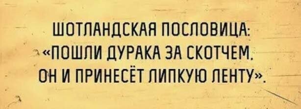 Алкопост на вечер этой пятницы