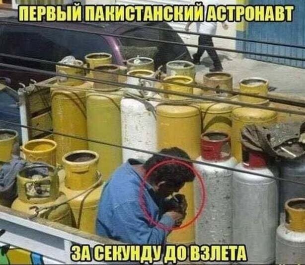 Прикольные картинки