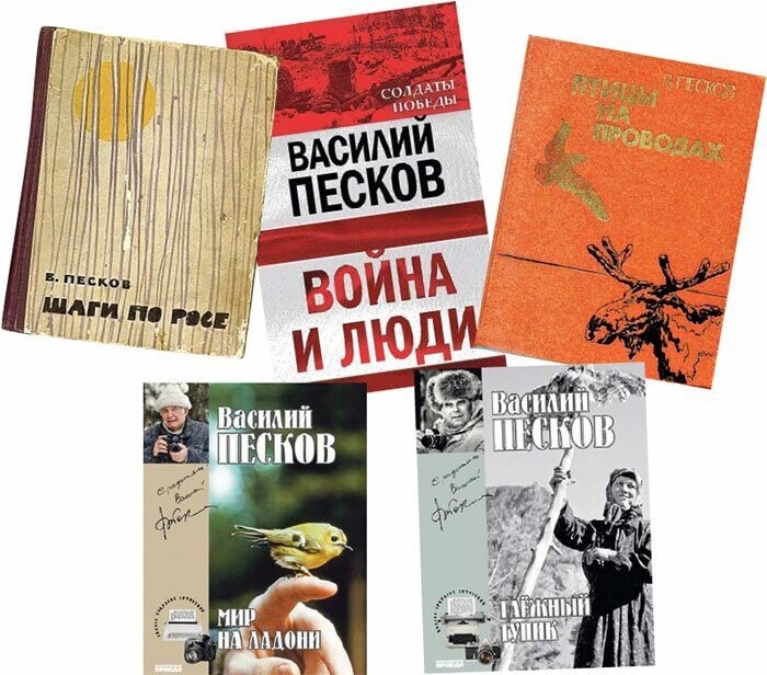 Василий Песков: «Никогда не поверил бы, что смогу все это»