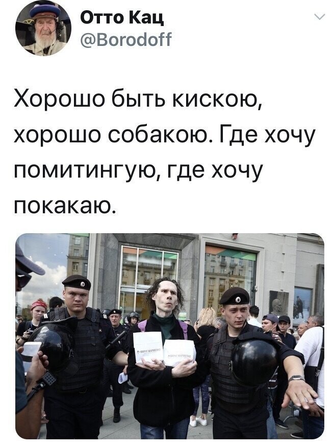 Политические комментарии из инета