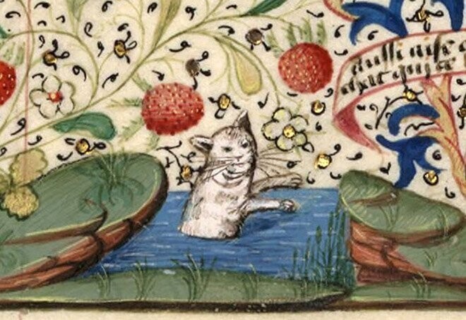 22 доказательства того, что средневековые художники не умели рисовать кошек
