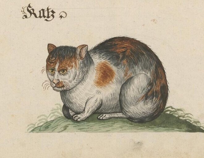 22 доказательства того, что средневековые художники не умели рисовать кошек