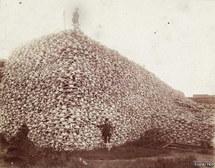 Забойщик бизонов, США, 1870–е