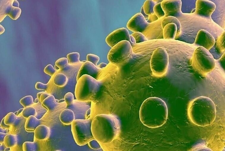 Штаты хотят переменить себе ученых из ФРГ, работающих над вакциной от коронавируса