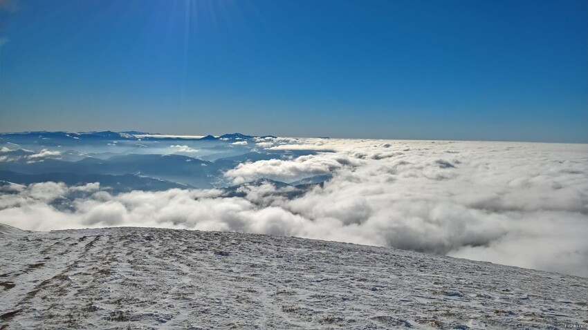 Солянка от 15.03.2020