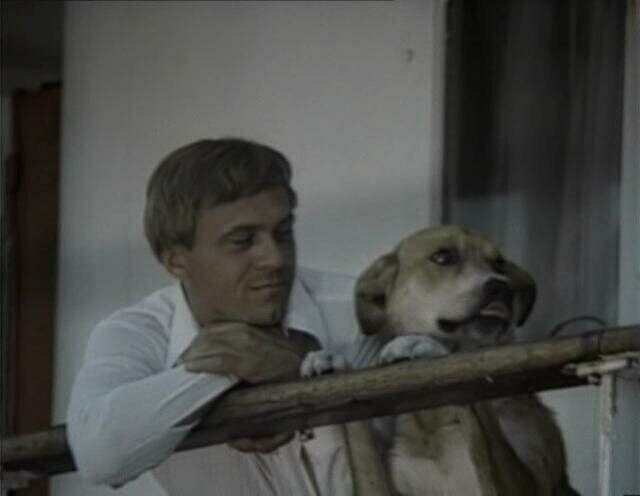 «Соленый пес» с Меньшовым в главной роли - свой "Хатико" в советском кинематографе