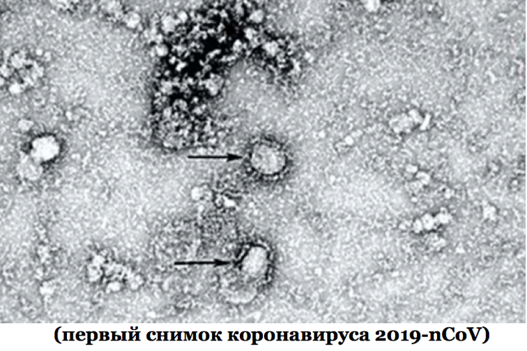 Новая Система жизнеобеспечения человека