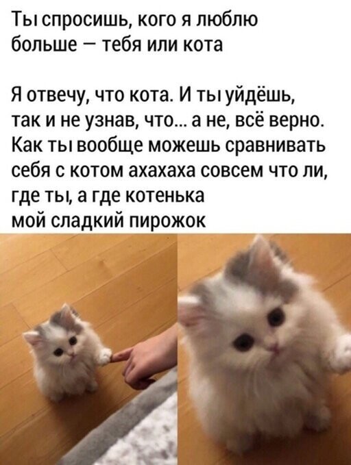 Прикольные и смешные картинки