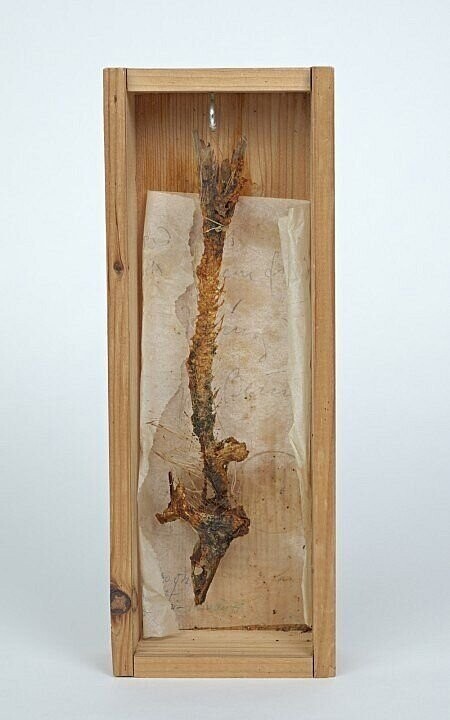 Joseph Beuys «Friday Object "First Class Fried Fish Bones"», 1970