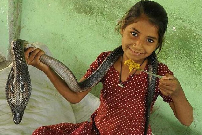 Девочка-кобра из Индии отлично ладит с опасными змеями