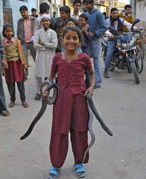 Девочка-кобра из Индии отлично ладит с опасными змеями