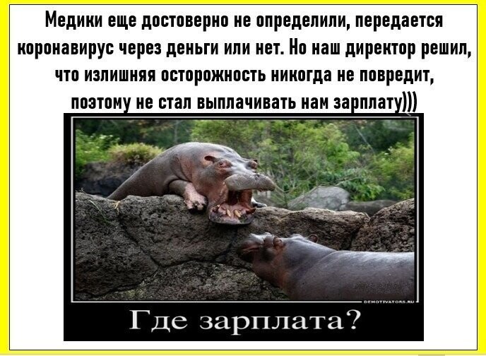 Политические комментарии из инета