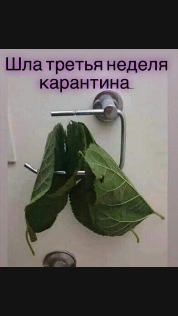 Политические комментарии из инета
