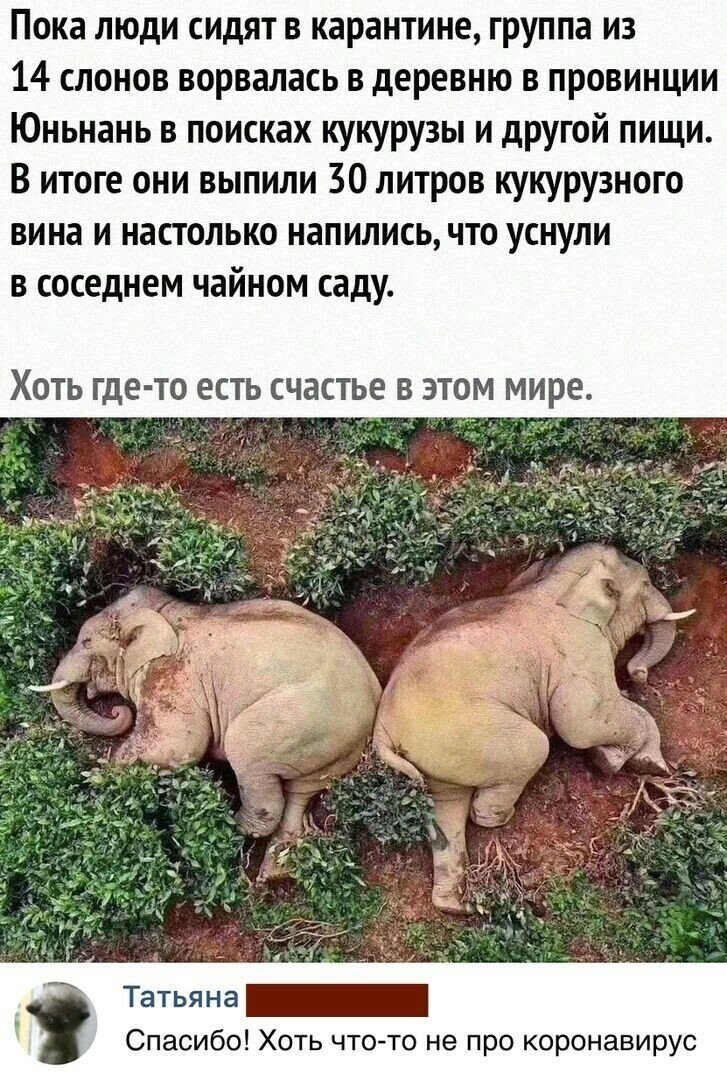 Политические комментарии из инета