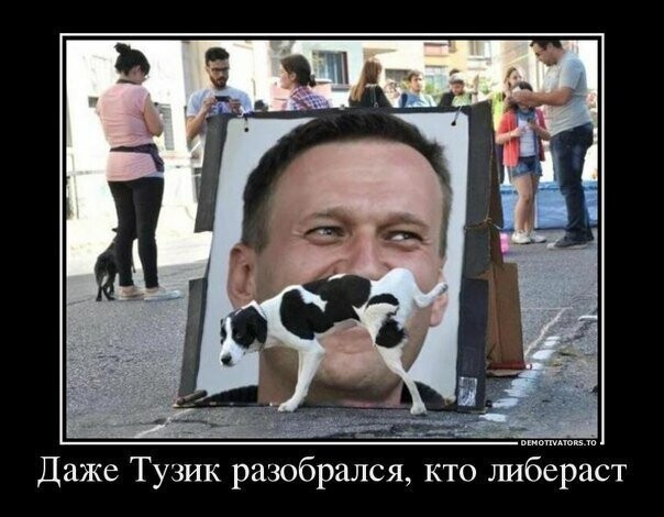 Политические комментарии из инета