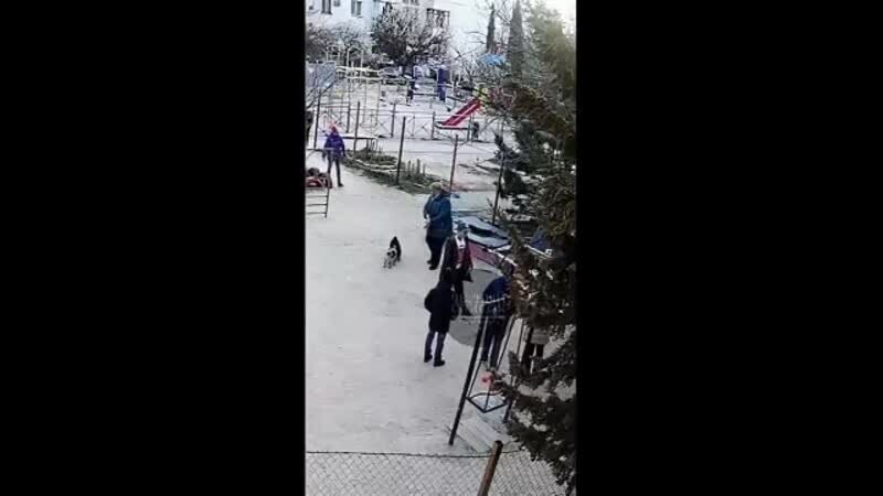Чтобы не гулял с собакой: жительница Севастополя распылила баллончик в глаза ребенку 