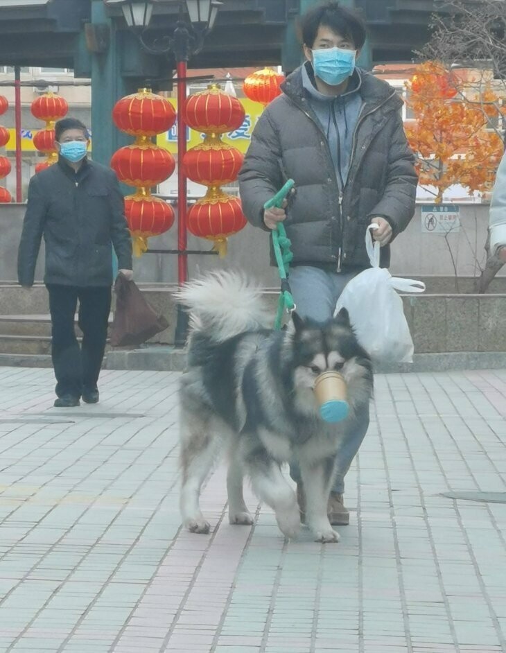 И смешно и страшно... Картинки на злобу дня