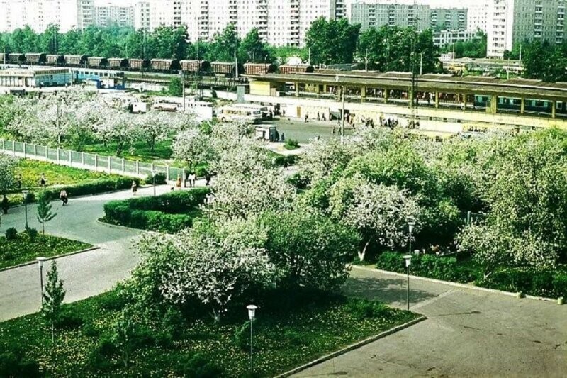 Яблоневый сад у станции метро Ждановская (ныне Выхино), Москва, 1983 год