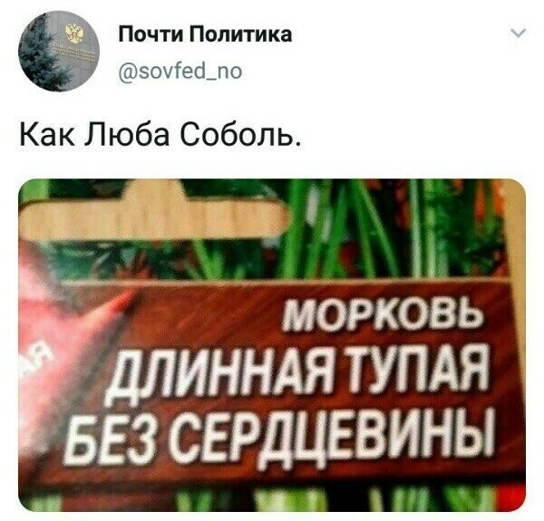 Политические комментарии из инета
