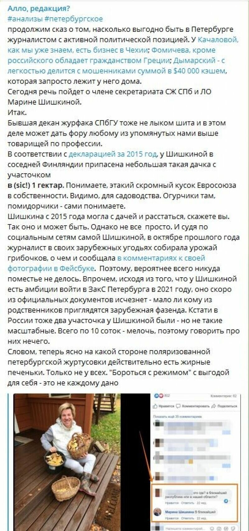 Подружка Вишневского Марина Шишкина владеет гектаром финской земли и домом