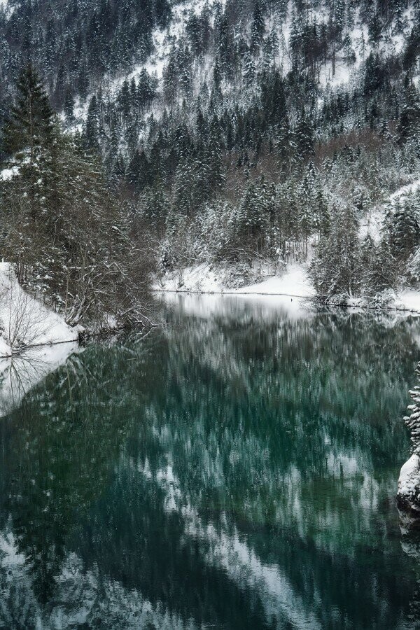 Альпийское высокогорное озеро Plansee. Австрия