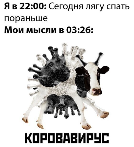 Прикольные и смешные картинки