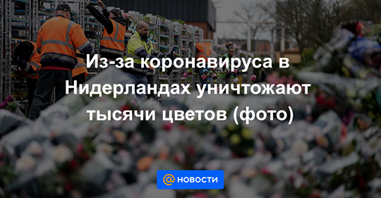 Политические комментарии из инета