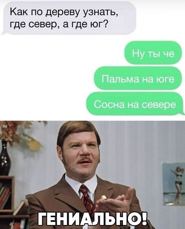 Смешные картинки из соц сетей