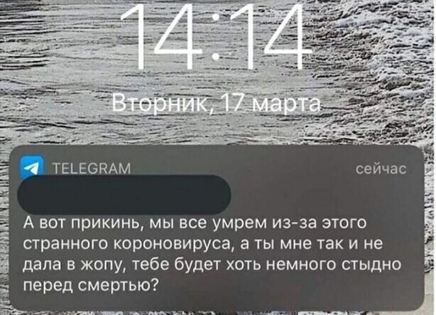 Прикольные и смешные картинки