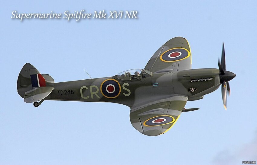 Spitfire