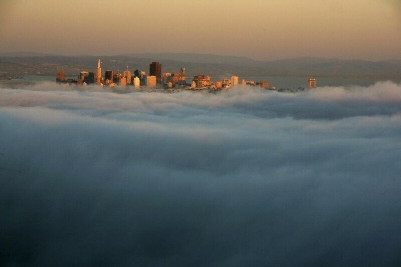Небоскребы Сан-Франциско возвышаются над густым туманом.
