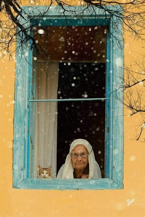 Мудрая бабушка. В домике с котом.