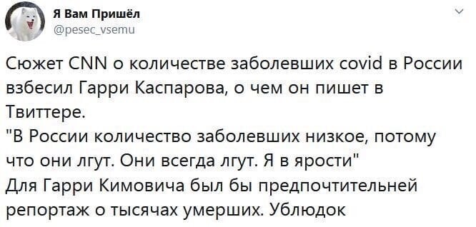 Политические комментарии из инета