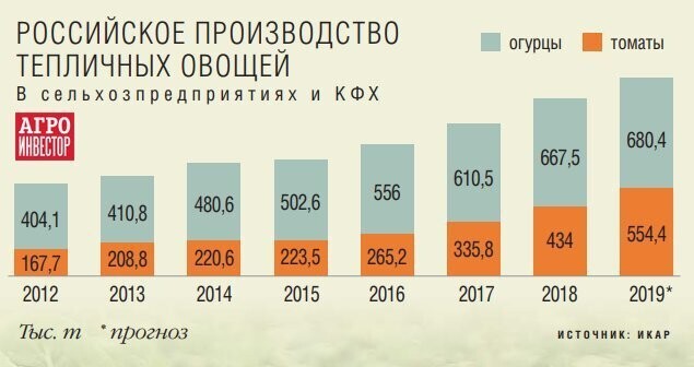 Тепличный рост. Урожай овощей в закрытом грунте превысил 1,2 млн тонн