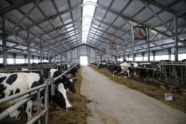 28 февраля. В Тотемском районе Вологодской области открыты новая молочная ферма на 450 голов КРС и новая линия маслозавода