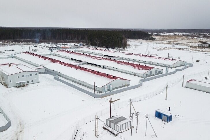 8  января. В Ивановской области начал работу крупный животноводческий комплекс группы компаний «Дымов» на 2800 голов