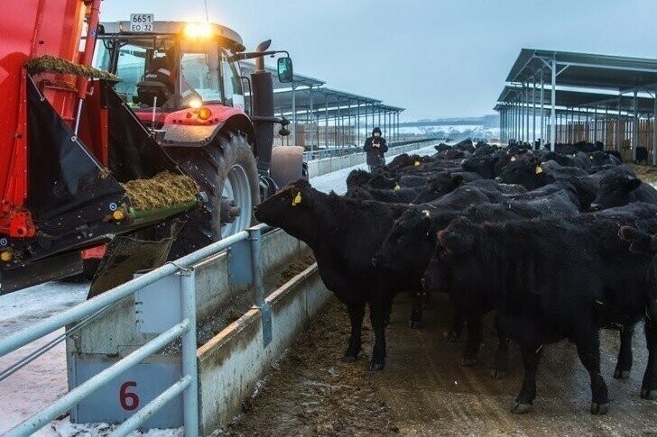 14 марта. Новая молочная ферма открыта в Вологодской области