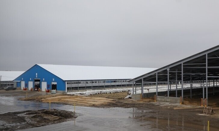 05 марта. «Русмолко» открыла в Пензенской области первую очередь молочного комплекса на 5200 голов КРС