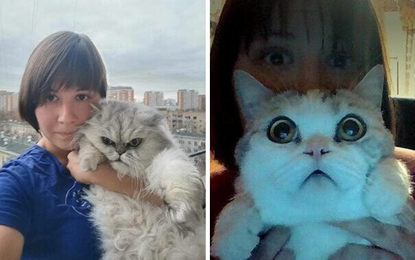Галина Бугаевская любит кошек! И не только...